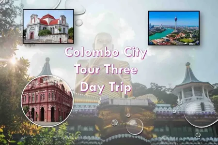 Colombo City Tour Three Day Trip